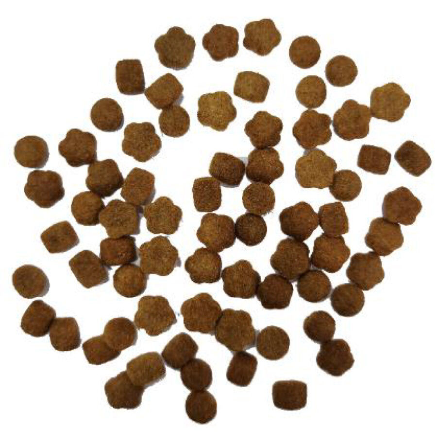 Keos for Adult Dog - Beef & Vegetables Flavor - Image 3